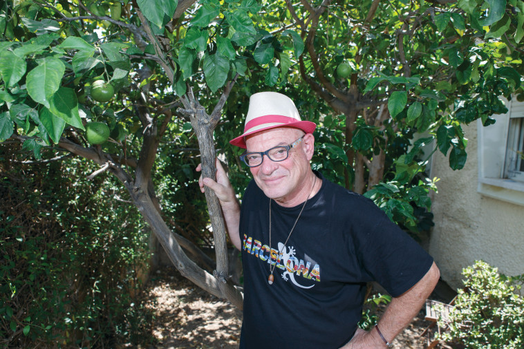 דורי בן זאב