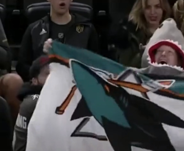 האוהד הנלהב