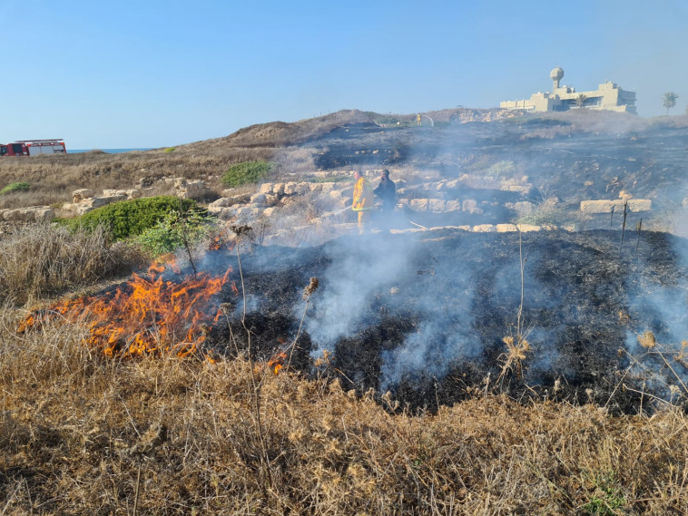 שריפה בחיפה (צילום: דוברות כבאות והצלה)