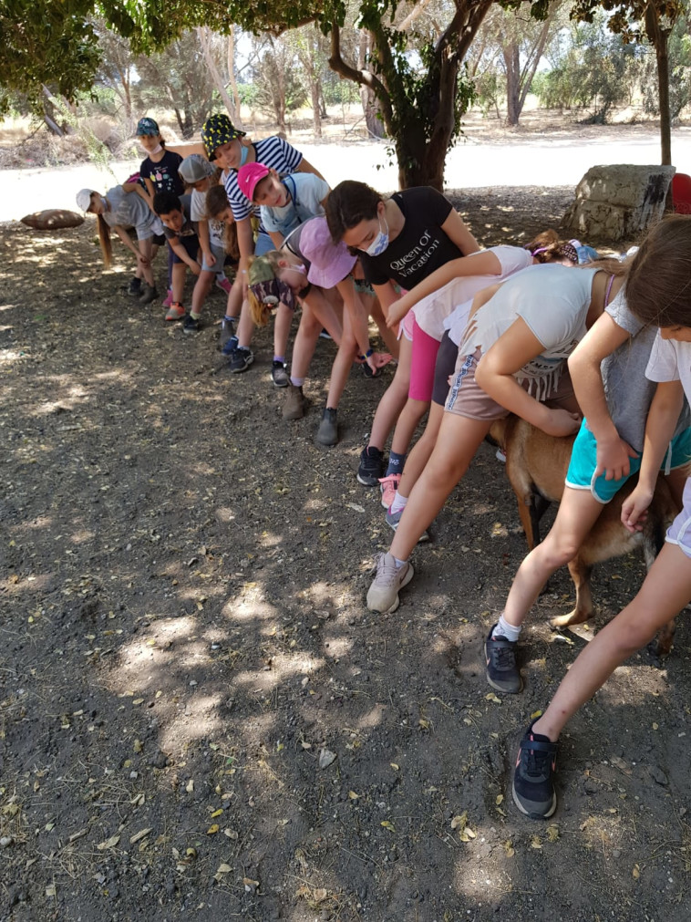 שיתוף פעולה ועבודת צוות