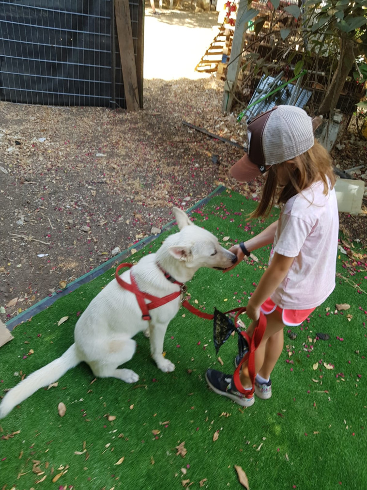 ''ילד שמצליח לאלף חיה עובר ביחד איתה תהליך של התפתחות אישית''