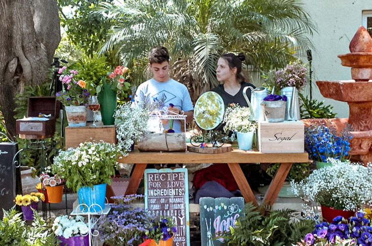 פסטיבל יקב האלה