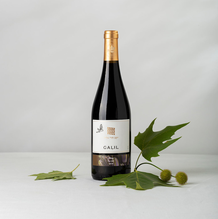 הרי גליל יינות 2018