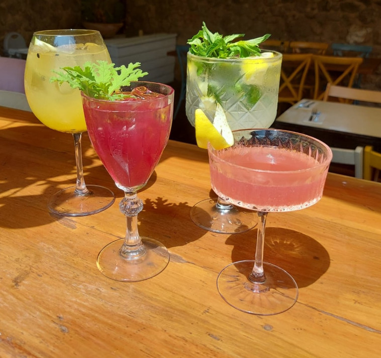 רבידה קוקטילים חדשים