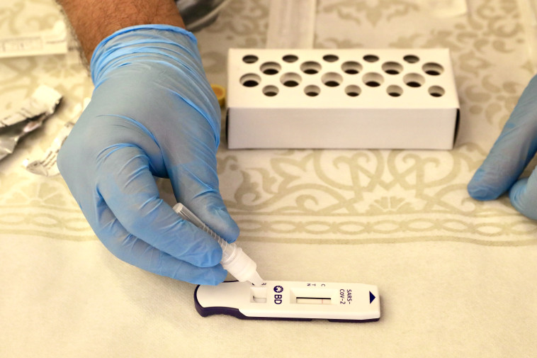 בדיקות מהירות 