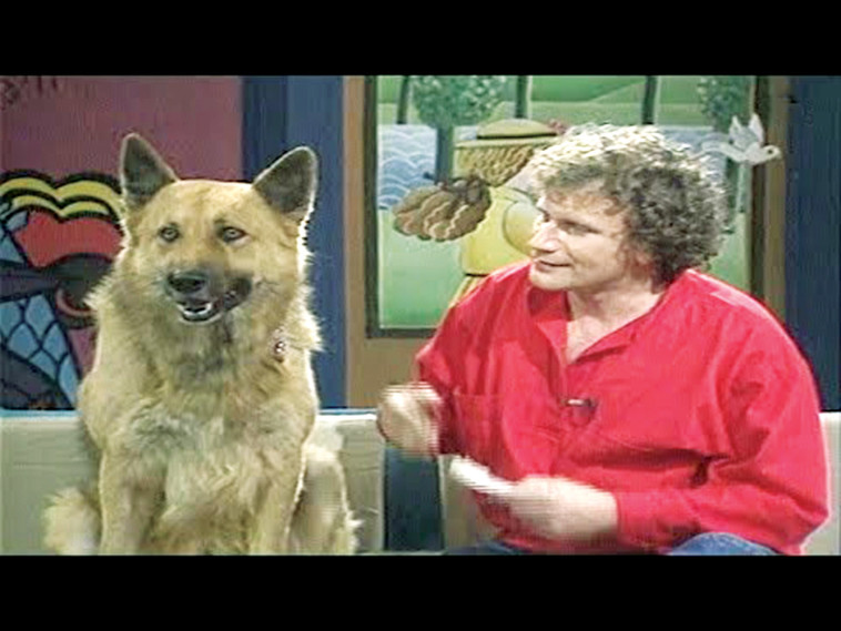 דליק ווליניץ ב''זהו זה''