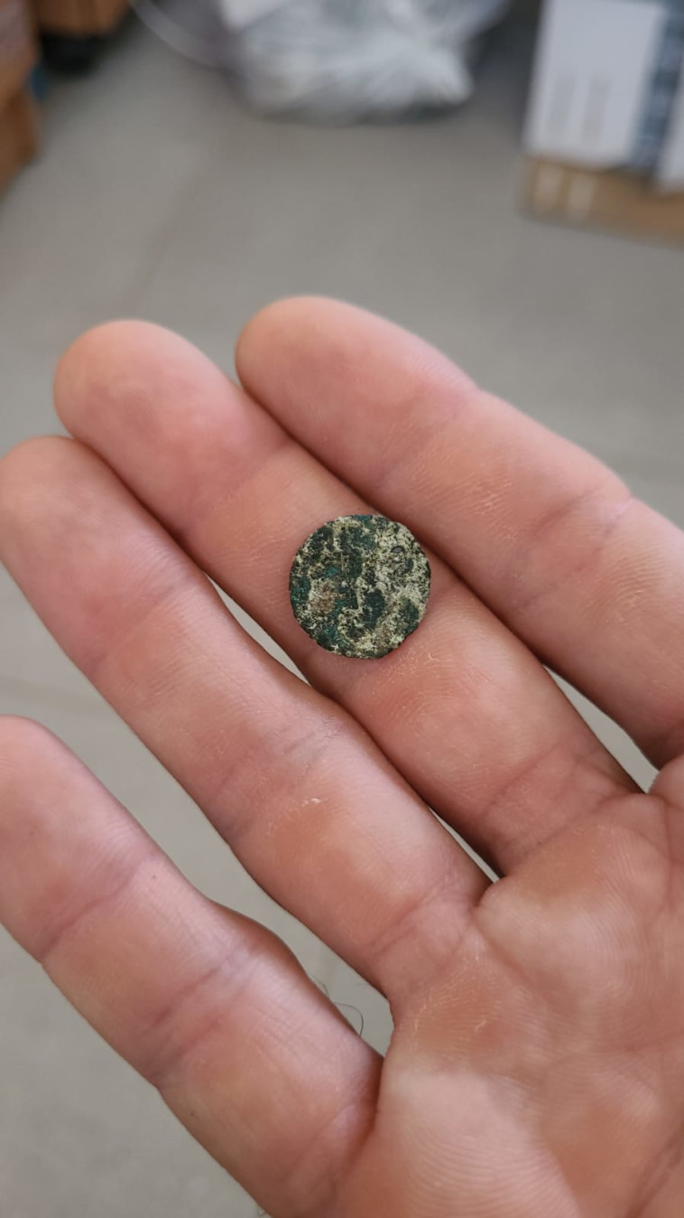 המטבע הקדום שמצאו בגן הלאומי כורזים (צילום: דקל שגב, רשות הטבע והגנים)