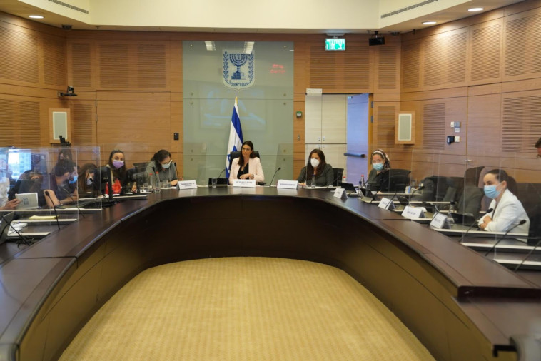 הדיון בועדת העבודה הרווחה והבריאות