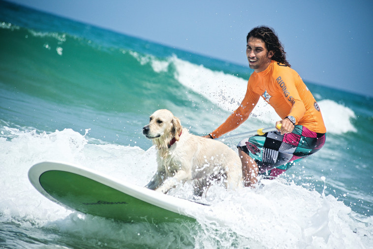 טל מצ'ורו גולש עם כלב