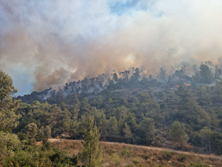 שריפה סמוך לבית מאיר (צילום: עובדי ויערני קק''ל)