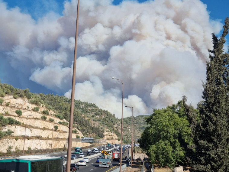 תיעוד עשן השריפה מאזור חאן שער הגיא (צילום: אפרת רוחין רשות הטבע והגנים)
