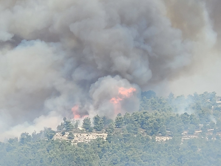 השריפה בהרי ירושלים (צילום: אריאל קדם, רשות הטבע והגנים)