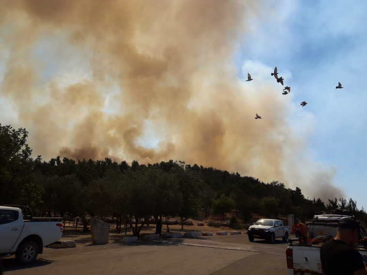 השריפה בהרי ירושלים (צילום: עובדי ויערני קק''ל)