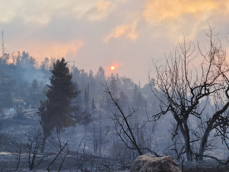 השריפה בירושלים