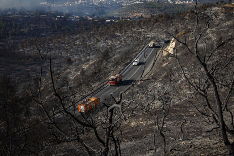כוחות הכיבוי בשטח השרוף