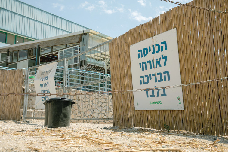 הכניסה לבריכה