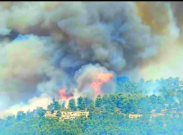 שריפה בהרי ירושלים
