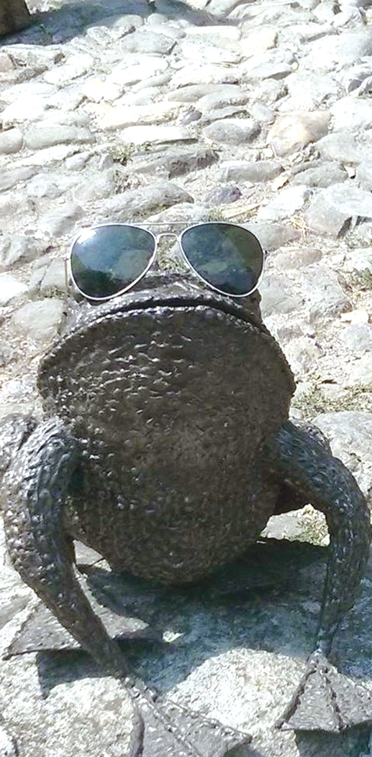 הטור של מאיר עוזיאל