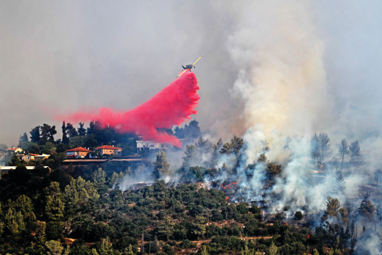 השריפה בירושלים (צילום: AHMAD GHARABLI.GettyImages)