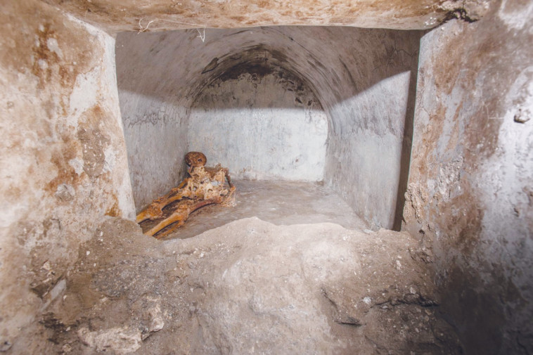 הגופה בקבר בעיר העתיקה (צילום: Archaeological Park of Pompeii)