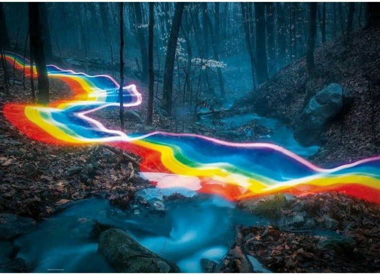 יער הקשתות - פאזל 1,000 חלקים