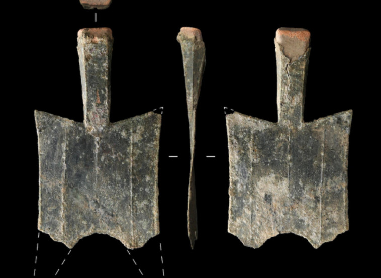 חלקי המפעל לייצור מטבעות 