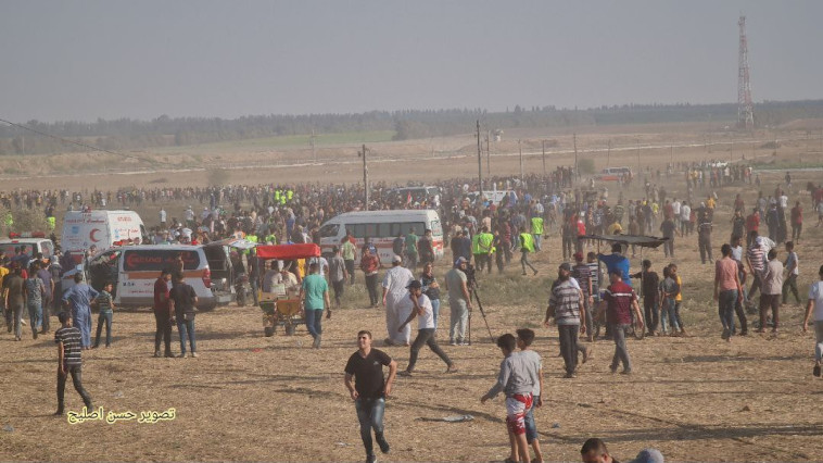 מפגינים פלסטינים בעצרת חמאס ברצועת עזה (צילום: רשתות חברתיות ערביות)