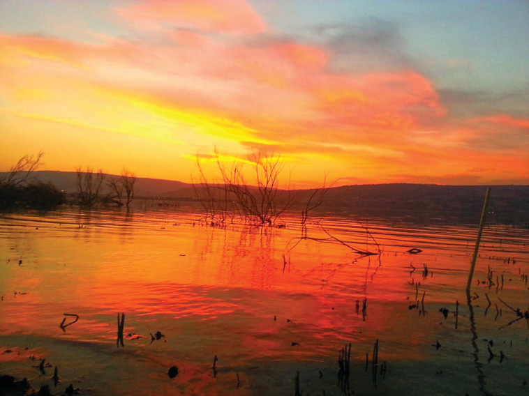 מתוך הסרט ''כנרת ים של חיים''