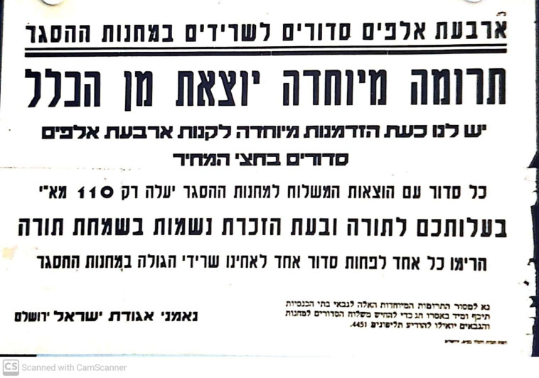 פשקוויל  (צילום: דוד גלפרין)