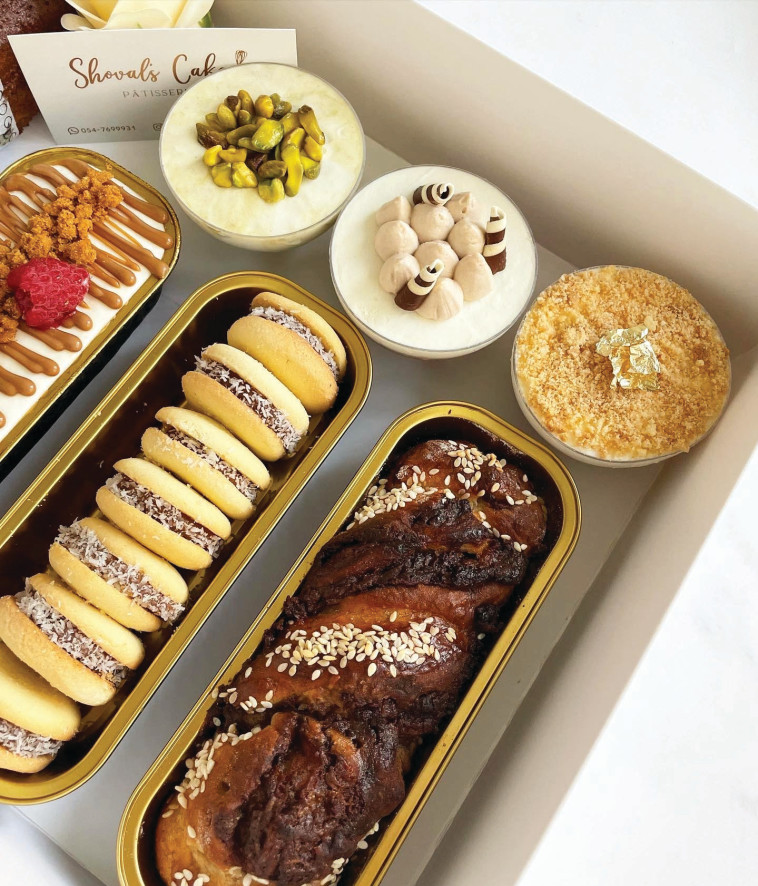 שובל כהן משה 