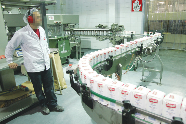 מעפעל סוגת בקרית גת