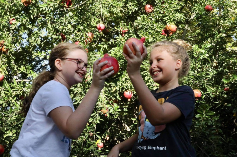 ילדות מתכוננות לראש השנה