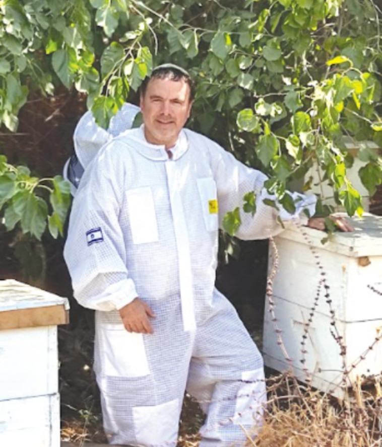 ד''ר ברוך מסינג, בעליי מכוורת הדוקטור