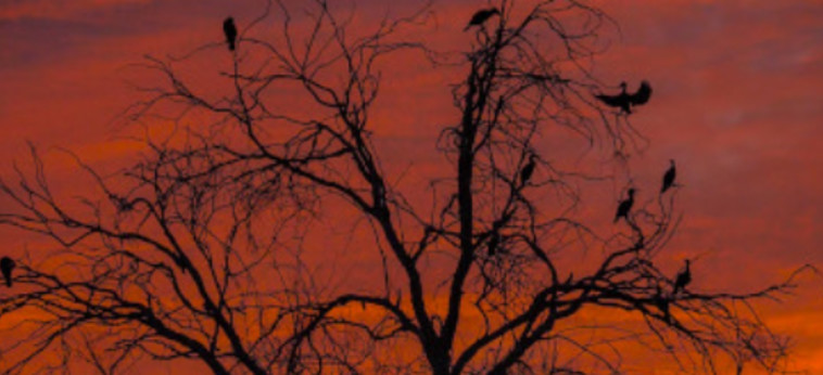 מתוך הסרט ''ים של חיים''