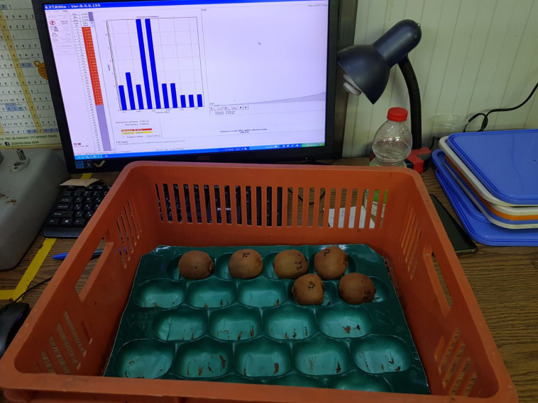 מערכת השקילה של הסטרטאפ