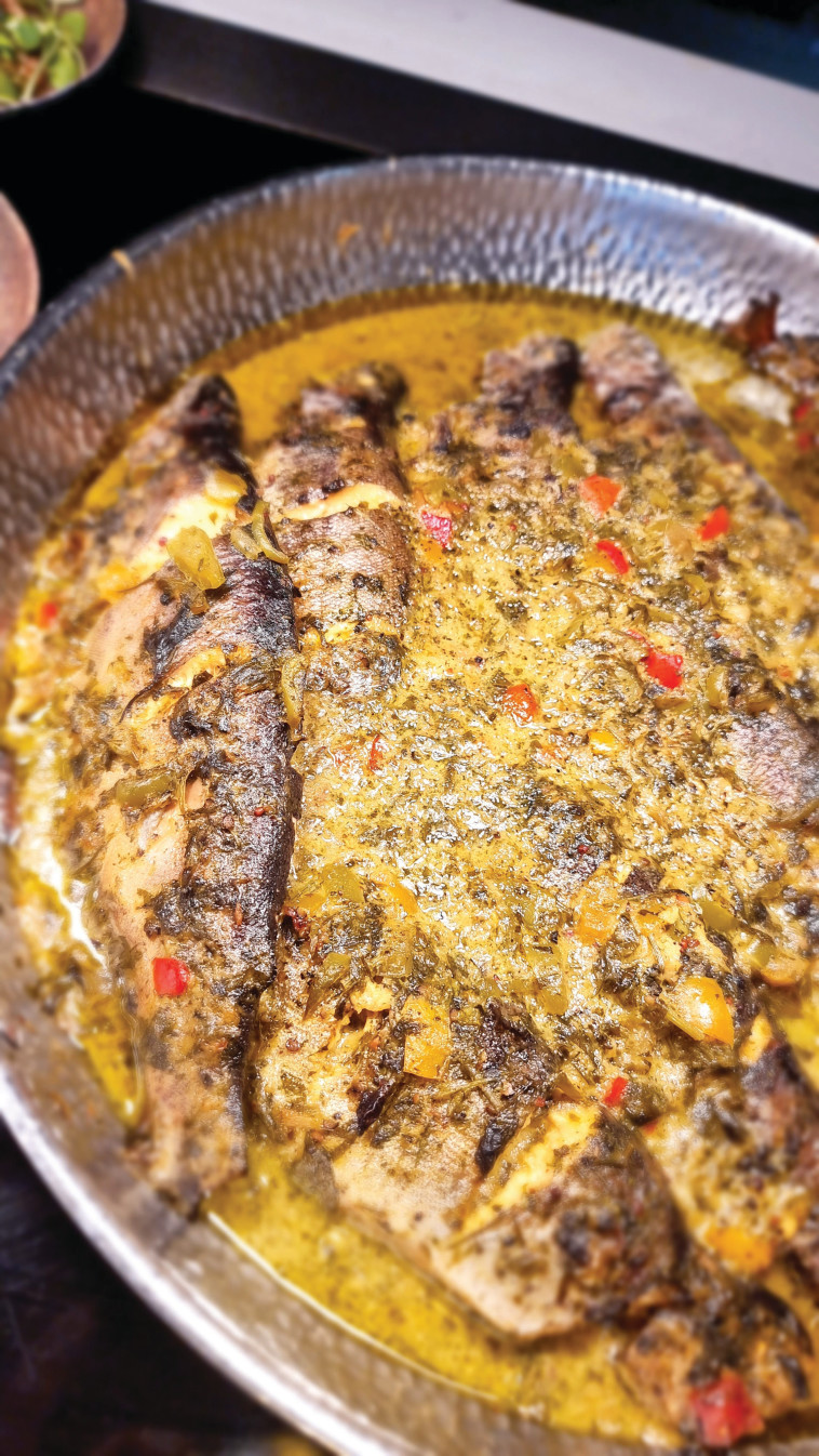 מסעדת הרודס ים המלח