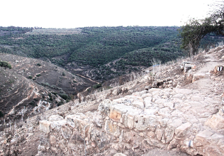 גן לאומי יודפת העתיקה  (צילום: אורי ארליך, רשות הטבע והגנים )