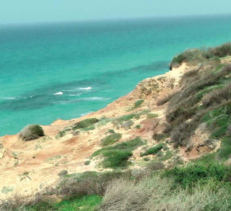 גן לאומי חוף השרון (צילום: אתי נפרין, רשות הטבע והגנים)