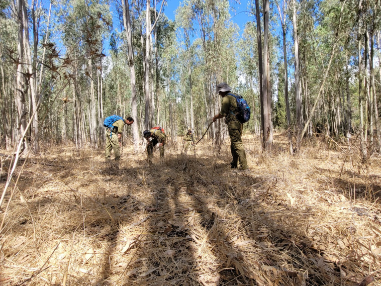 חיפושים אחרי האסירים הנמלטים