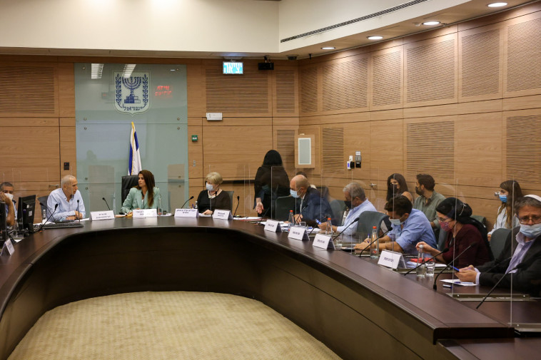 הוועדה לביטחון פנים (צילום: נועם מושקוביץ)