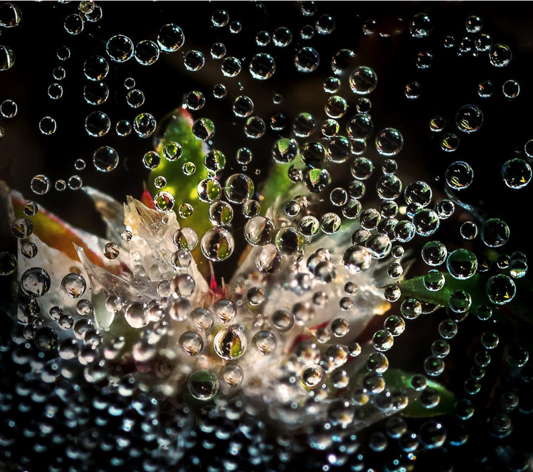 מתוך תערוכת החיים מחוץ לזום