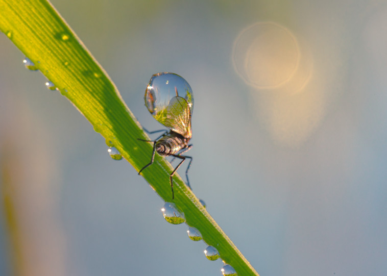 מתוך תערוכת החיים מחוץ לזום