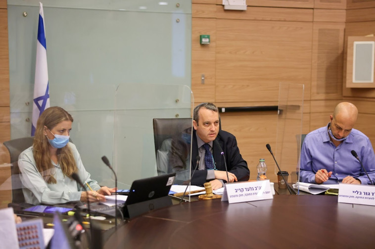 ח''כ גלעד קריב בדיון בוועדת החוקה