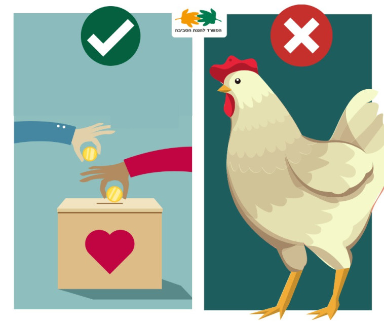 לא להשתמש בתרנגול לכפרות