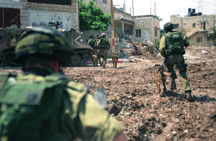 ג'נין במבצע ''חומת מגן''