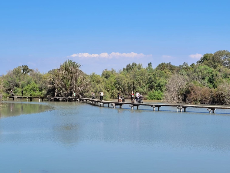 מזג אוויר אביבי, שמורת הטבע אין אפק