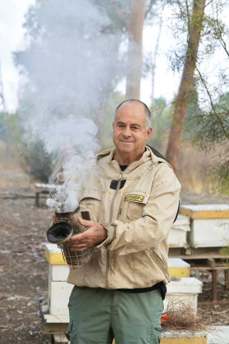 שי ספקטור, דבוראי