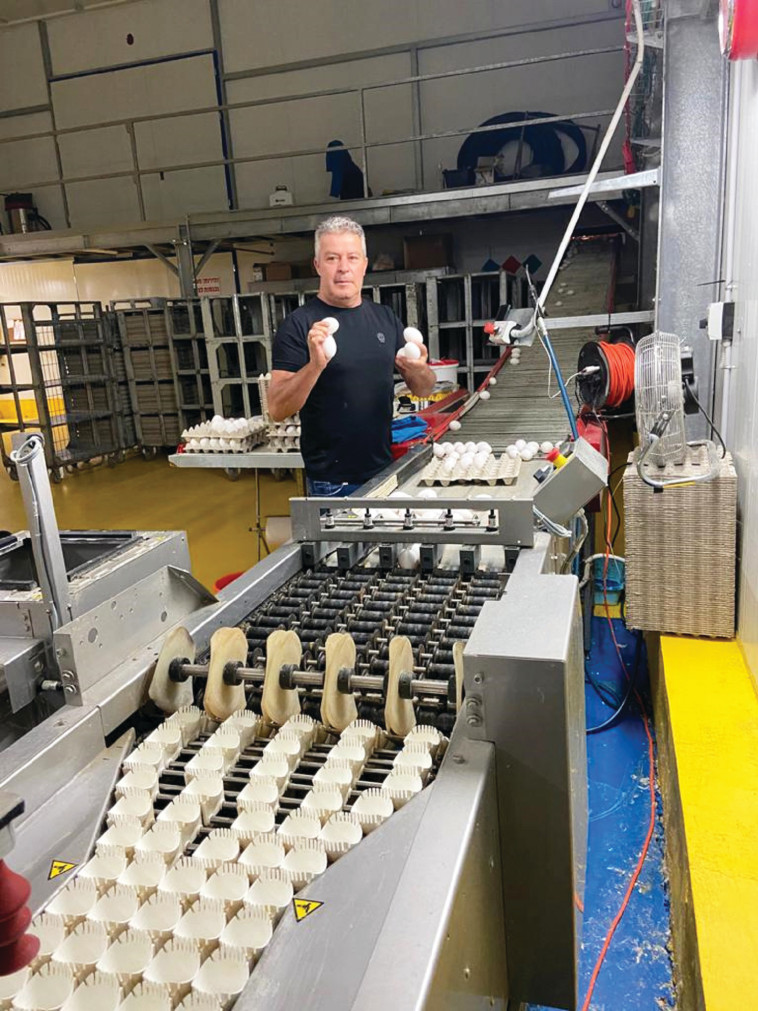 עמי דהן, לולן