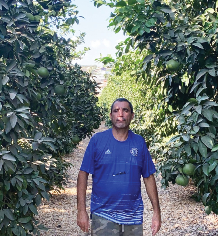 רוברט אמרוסי