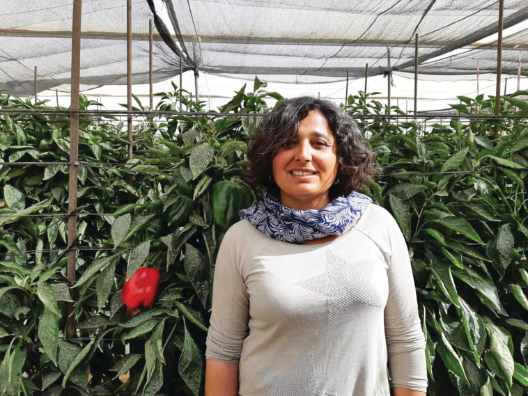 מעיין קיטרון